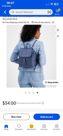 Backpack Purse