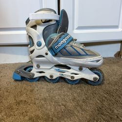 Kid Roller Skates (adjustable)