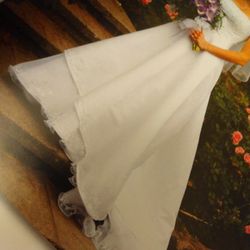 ~$900 Wedding Dress Preserved Boxed David's
