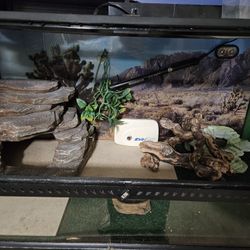 40 Gallon Lizard Tank With Shelf 