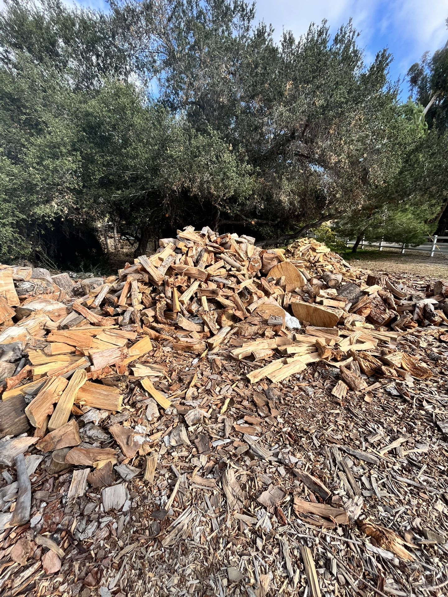 Firewood