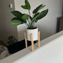 Faux Plant 