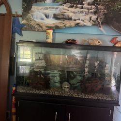 Fish Tank 60 Gallon 