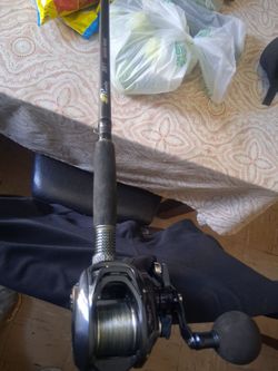 Daiwa Lexa 300hd with phenix m1 8'2 ft