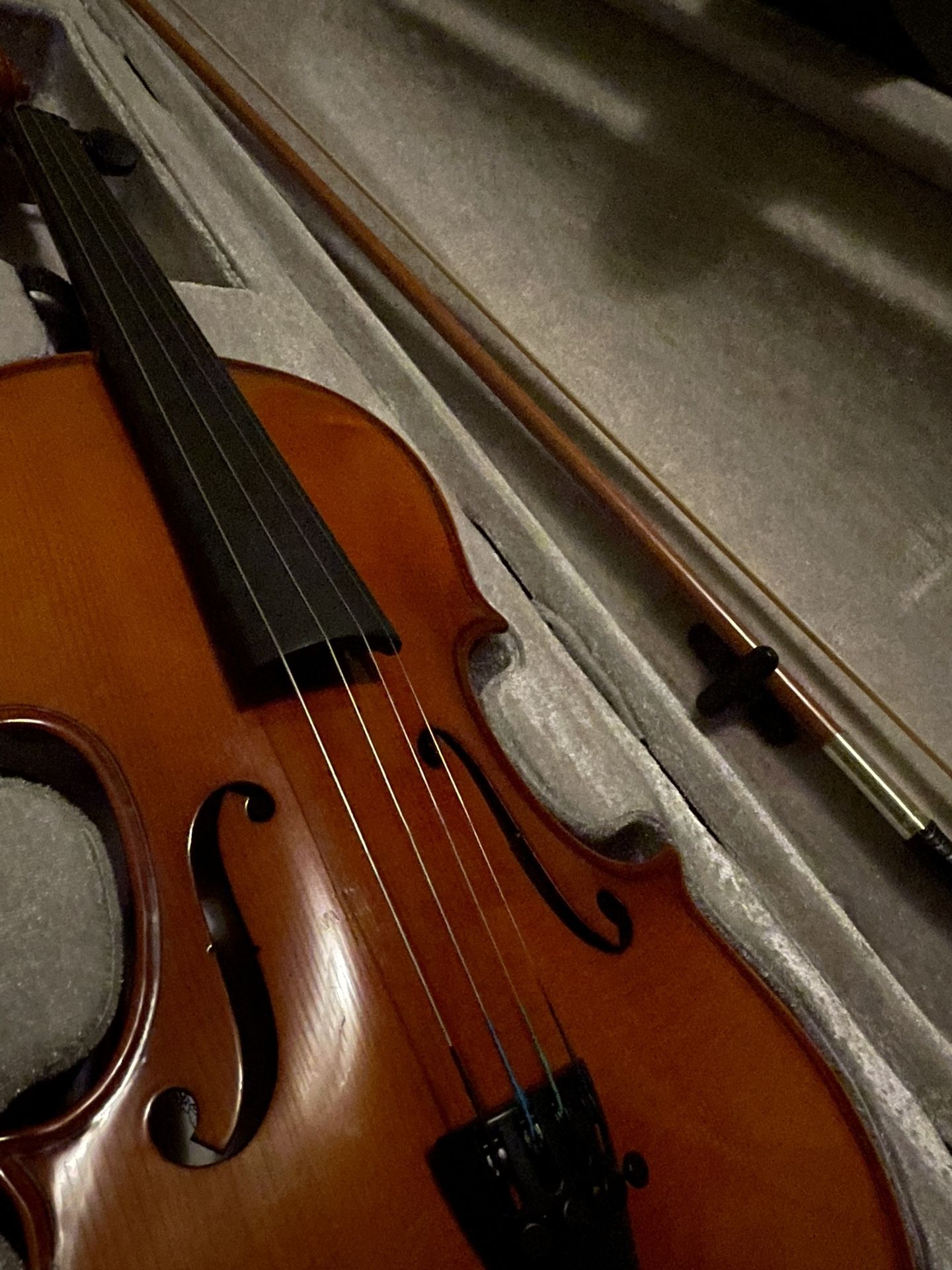 Violin For Beginners