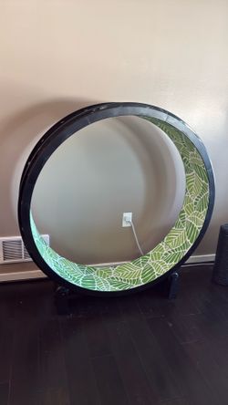 One Fast Cat exercise wheel