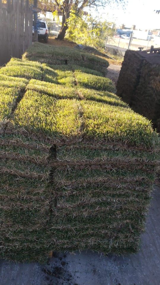 Grass Sod For Sale