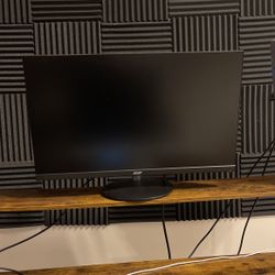 professional gaming monitor 