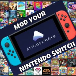 Nintendo Switch Mod Service
