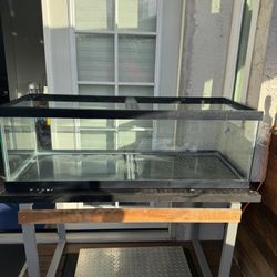 60 Gal Long Breeder