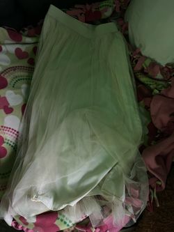 Sheer Skirt
