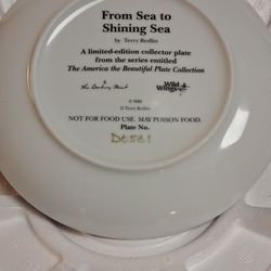 Set Of Two Collective Plates