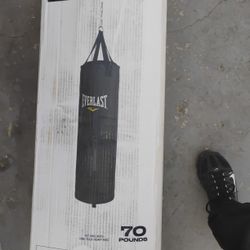 Everlast Punching Bag 