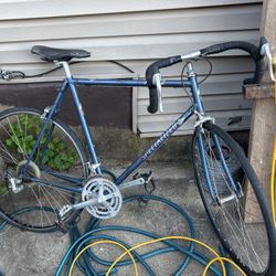 Specialized Alex