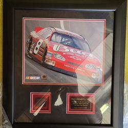Dale Earnhardt Jr  2003  Framed  Budweiser Car Picture With Piece Of Race used Tire