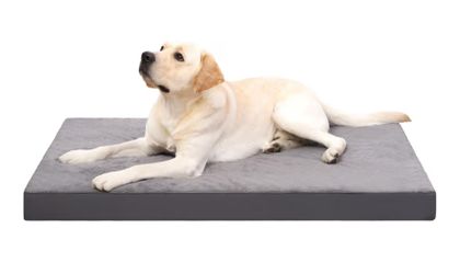 Large Gray Plush Dog Bed Mat