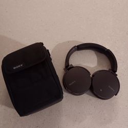 Sony Headphones & Case