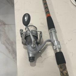 Custom Fishing Rod, 10 Foot Surfing