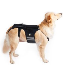 New Coodeo Dog Back Brace for Dogs Arthritis, Pet Back Bracer for IVDD, Back Protector Helps Pain Relief, Surgical Recovery and Rehabilitation, Dogs B