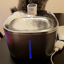 Cat Water Fountian 