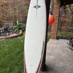 Bic Longboard Surfboard