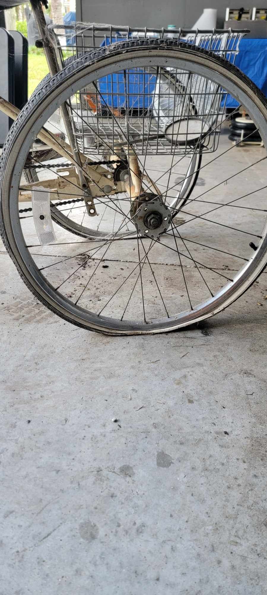 Miami Sun 3 Wheel Bike for Sale in Vlg Wellingtn, FL OfferUp