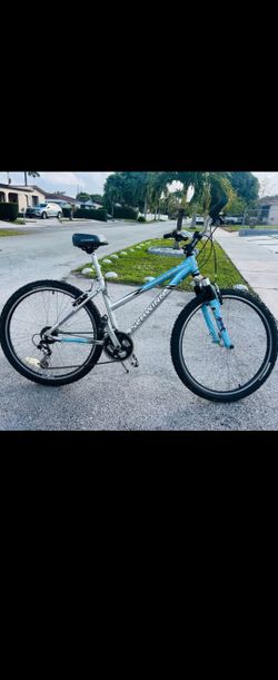 Beautiful Aluminum Bicycle