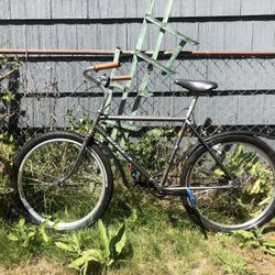 1984 Miyata Terra Runner 9 Speed Road Bike