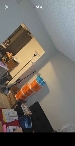 Paper Towels