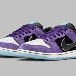 Hayley Wilson x SB Dunk Low Size 9.5  DS ***NO TRADES***