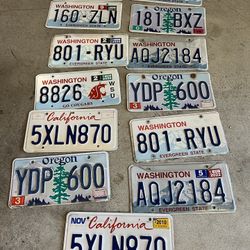 13 License Plates