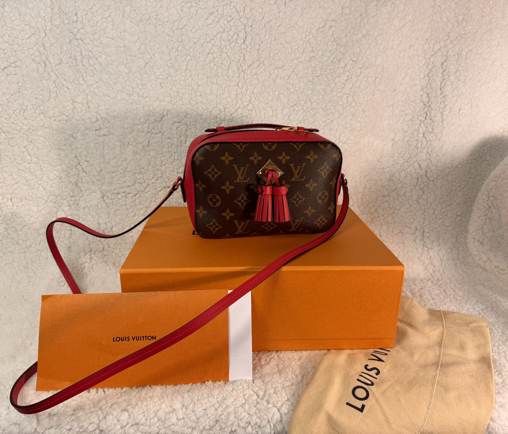 Louis Vuitton Purse