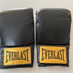 Everlast Boxing Gloves