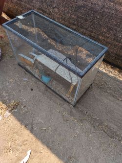 Hamster tank