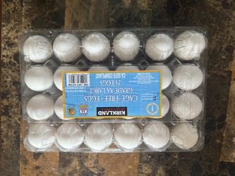 Huevos /eggs