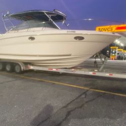 Sea Ray Amberjack 290