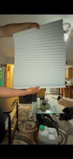 Window blinds