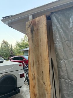 Live edge maple