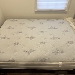 Queen Mattress (Firm)