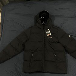 Hollister Cozy Puffer Jacket (New)