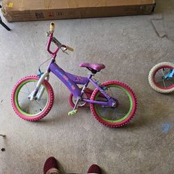 16 Inch Bike For Free