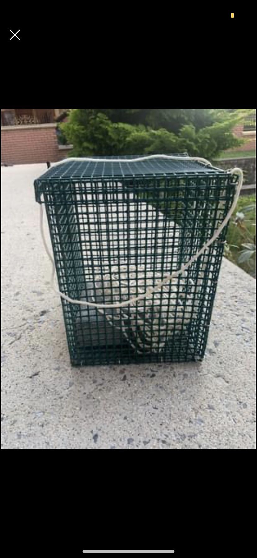 Weighted Clam Chum Cage For Fishing