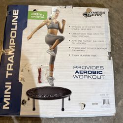 Mini Trampoline