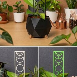 Witchy Moon Phase House Plant Support Trellis