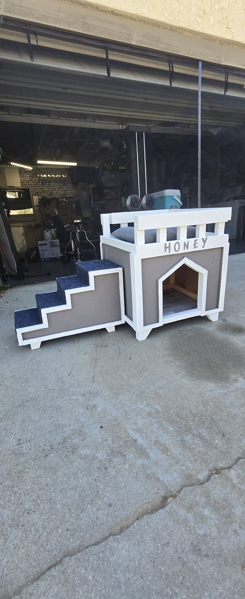 Dog House