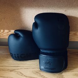 Starlight Boxing Gloves