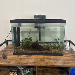 Fish Tank