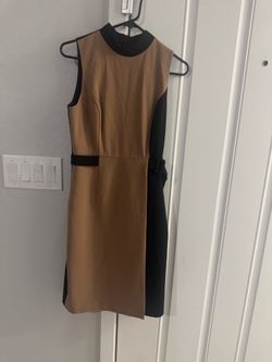 Sleeveless Two-Tone Tan and Black Sheath Dress