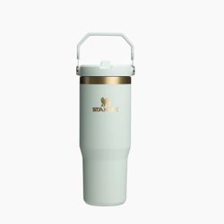 BRAND NEW IN BOX STANLEY ICEFLOW ICE FLOW 30 OZ TUMBLER - GILDED CELADON