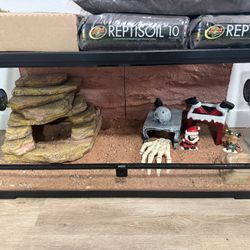 Fully Kitted Bearded Dragon 40 Gal Terrarium (10+ Accessories)